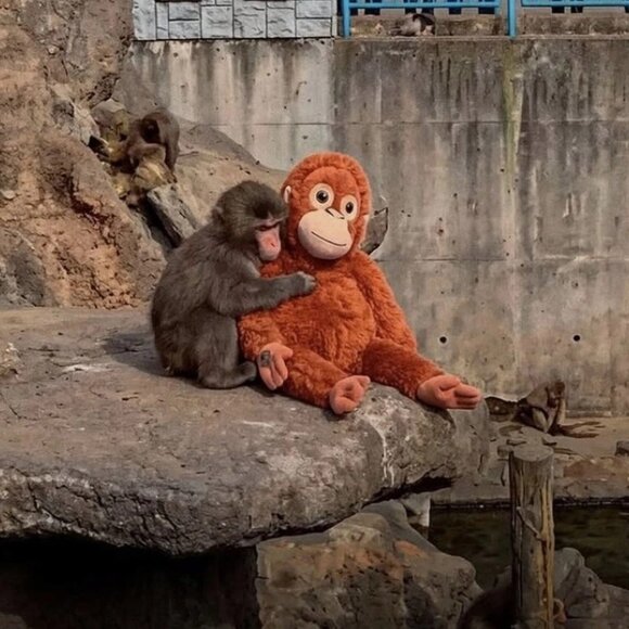 IKEA Other - IKEA Orangutan "Punch Monkey” Plush Toy – Viral Djungelskog Stuffed Animal